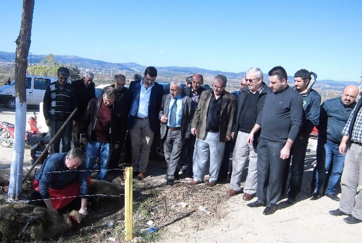Yenişehirli Nakliyecilerin Şişe Cam Sevinci