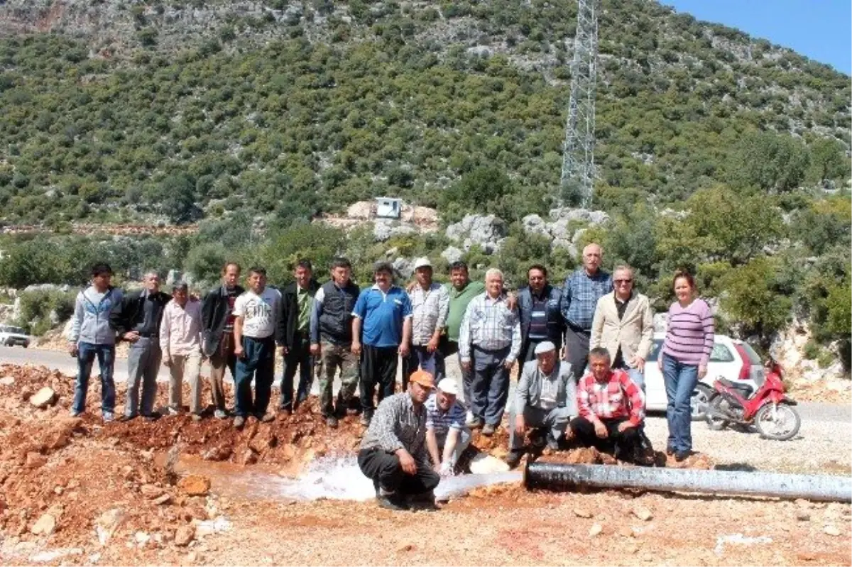 Yüz Yıllık Hasret Bitti