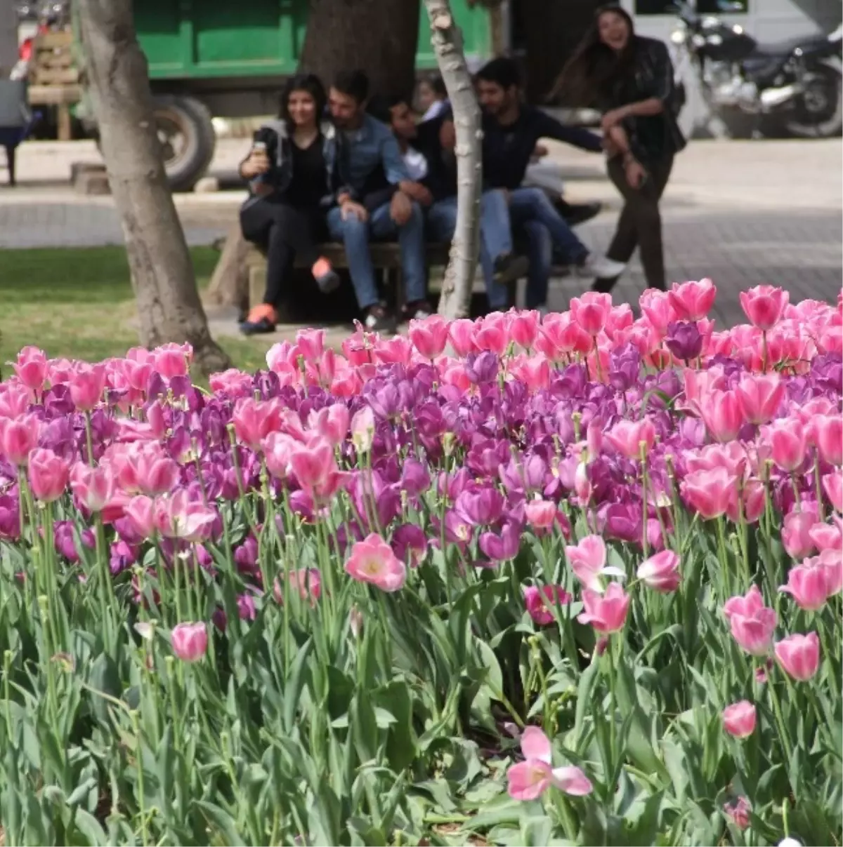 Termometre Mart Ayında 36 Dereceyi Gösterdi