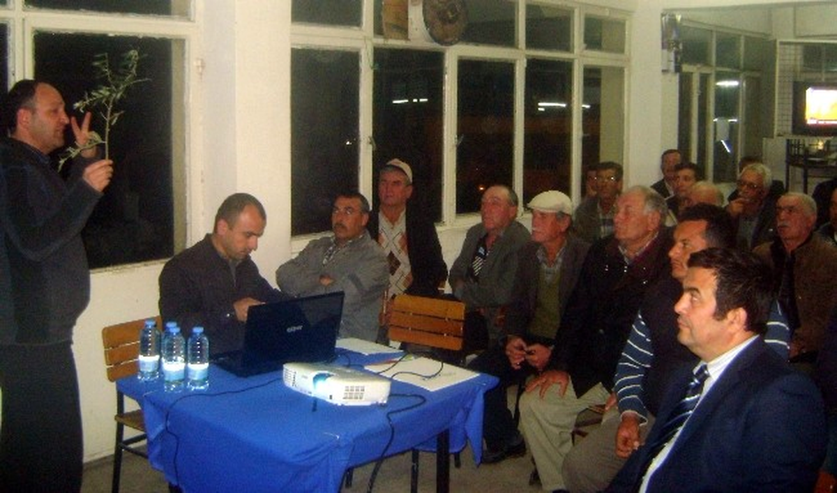 Aydın\'da Zeytin Dal Kanseriyle Mücadele Çalışmaları