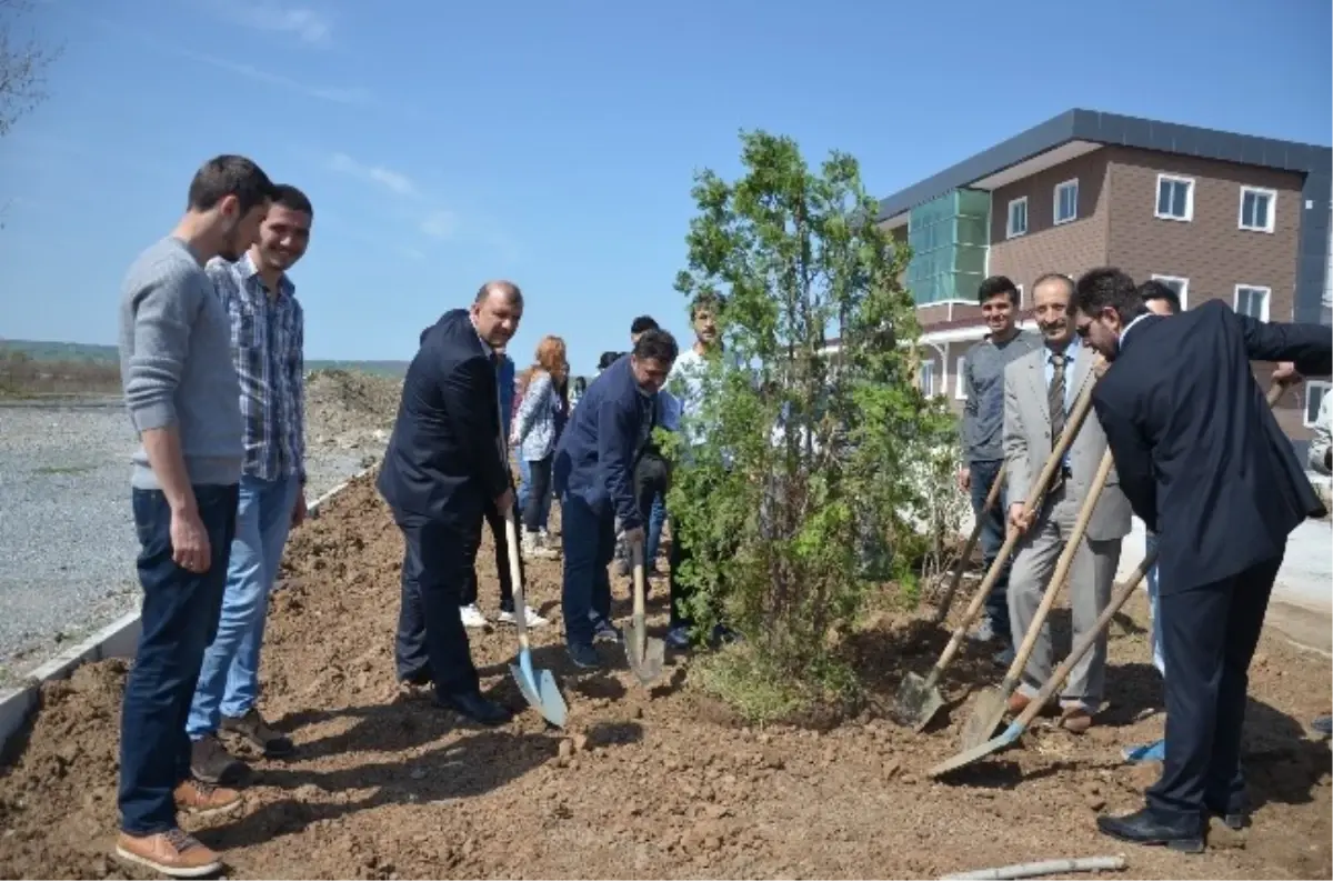 Bafra Turizm Fakültesi Bahçesi Ağaçlandırıldı