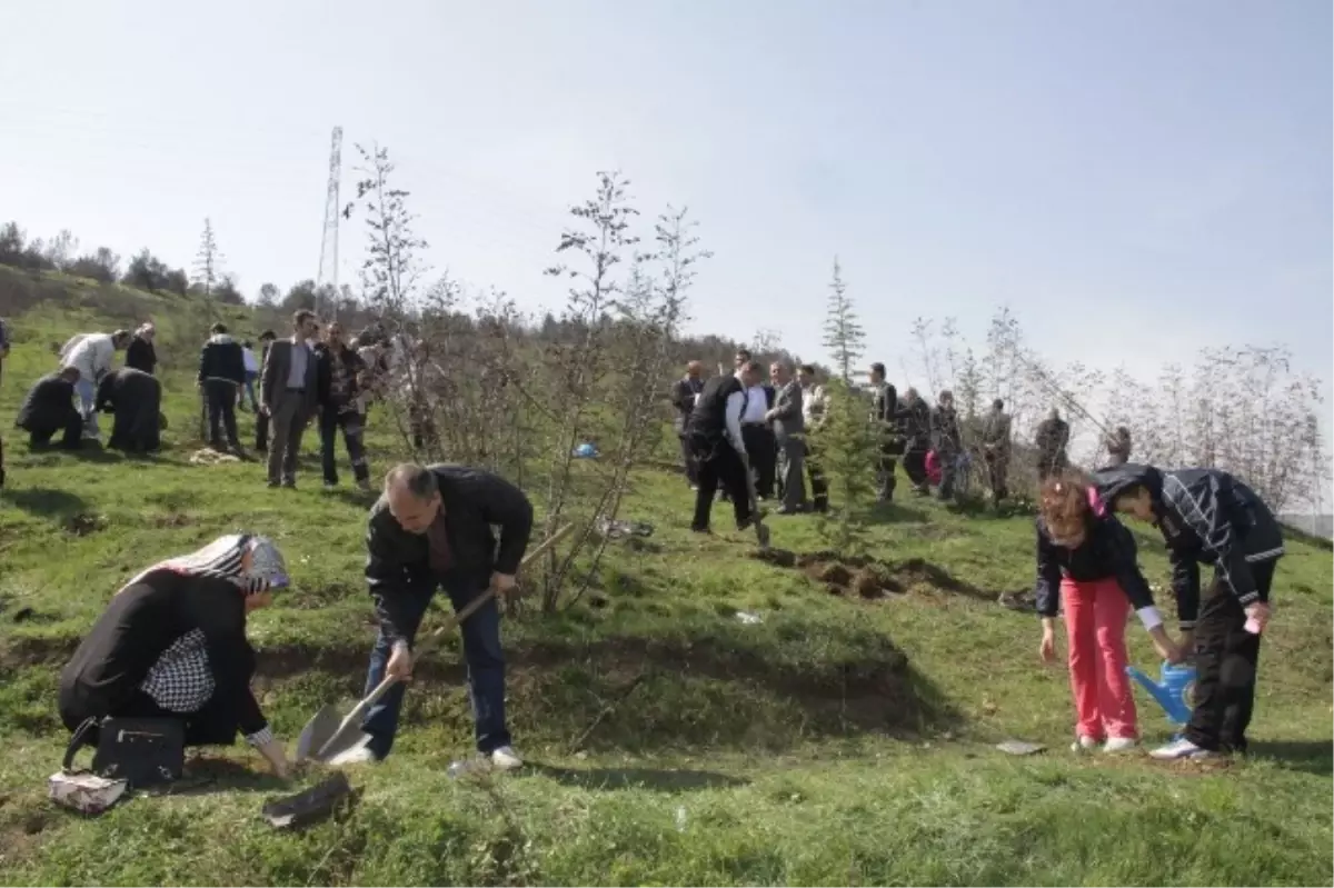 Hastane Çalışanları Fidan Dikti