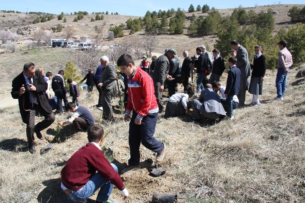 Nevruz Ormanına Fidanlar Dikildi