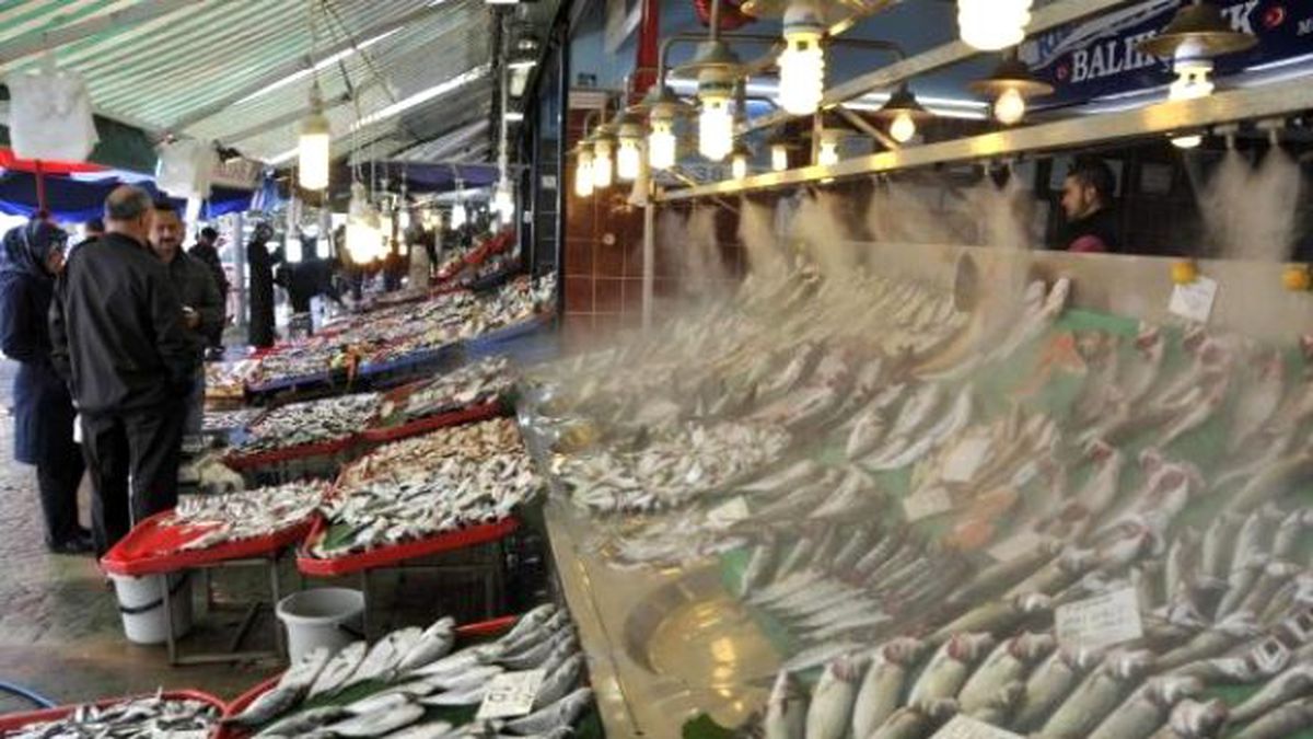 Balık Fiyatları Tavan Yaptı