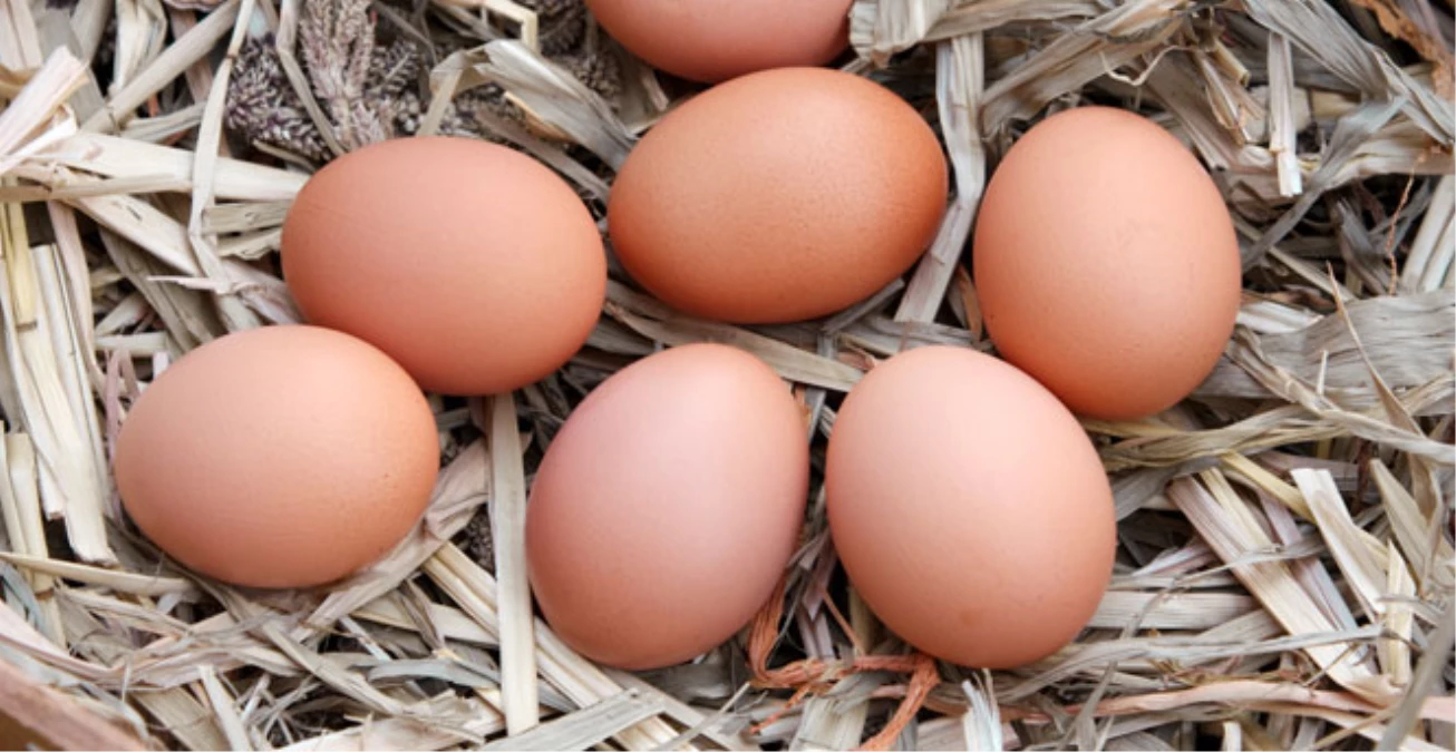 Tesis Yumurtası Pisletilip Köy Yumurtası Diye Satılıyor