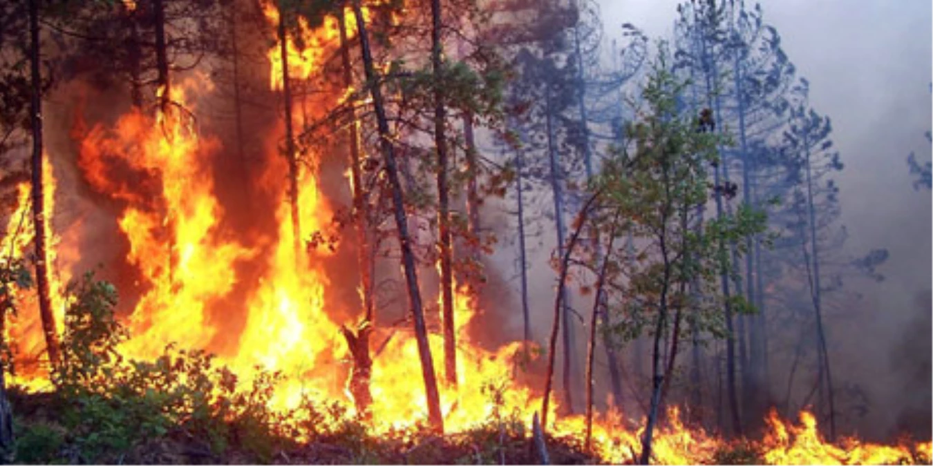 Rize\'de Orman Yangını Kontrol Altına Alınamıyor