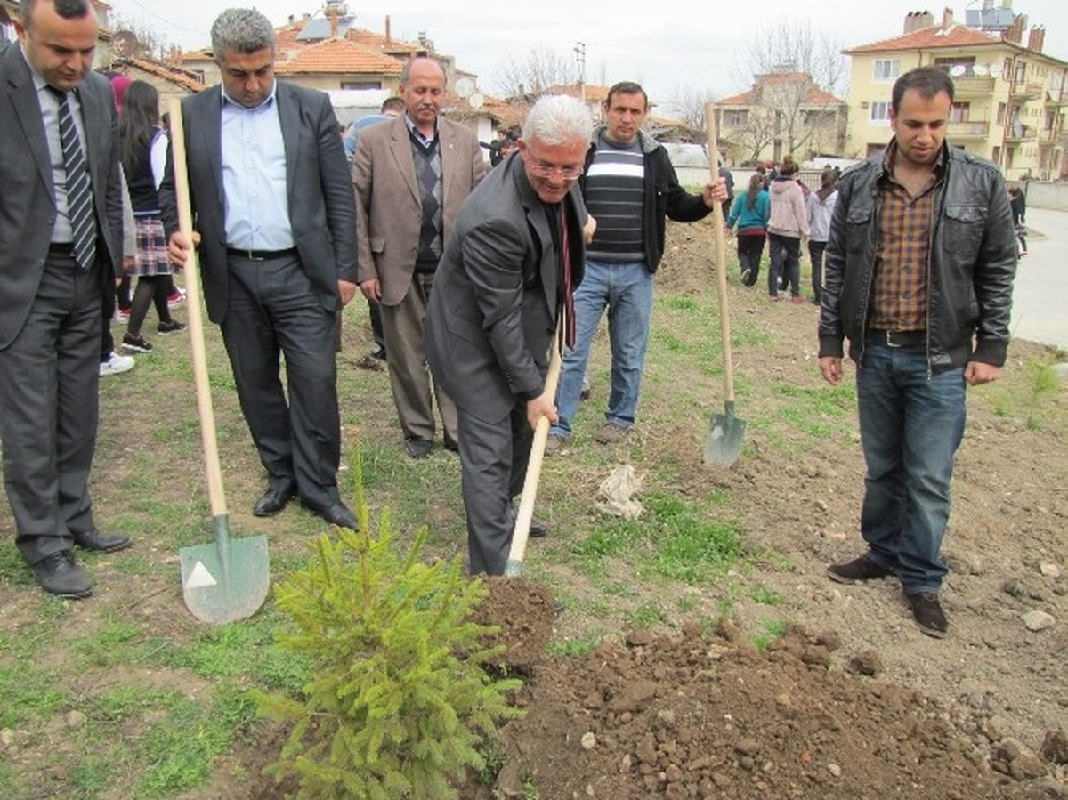Hisarcık Anadolu Öğretmen Lisesi Bahçesine 50 Fidan Dikildi