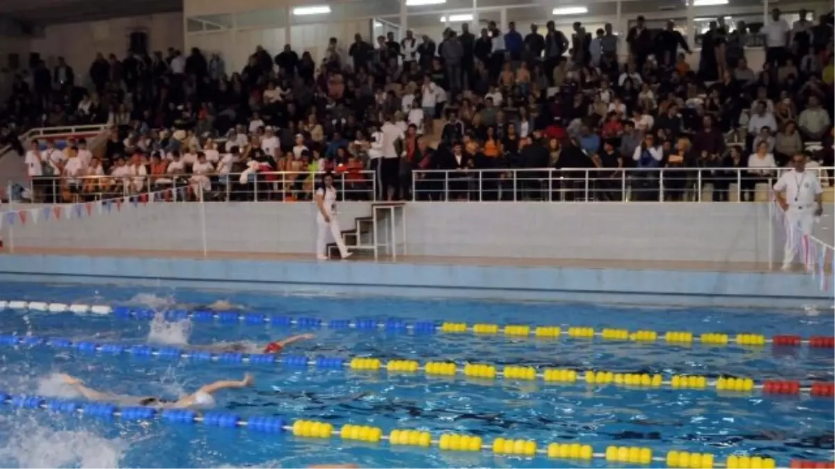 Olimpik Yüzme Günleri Kardeş İller Projesi