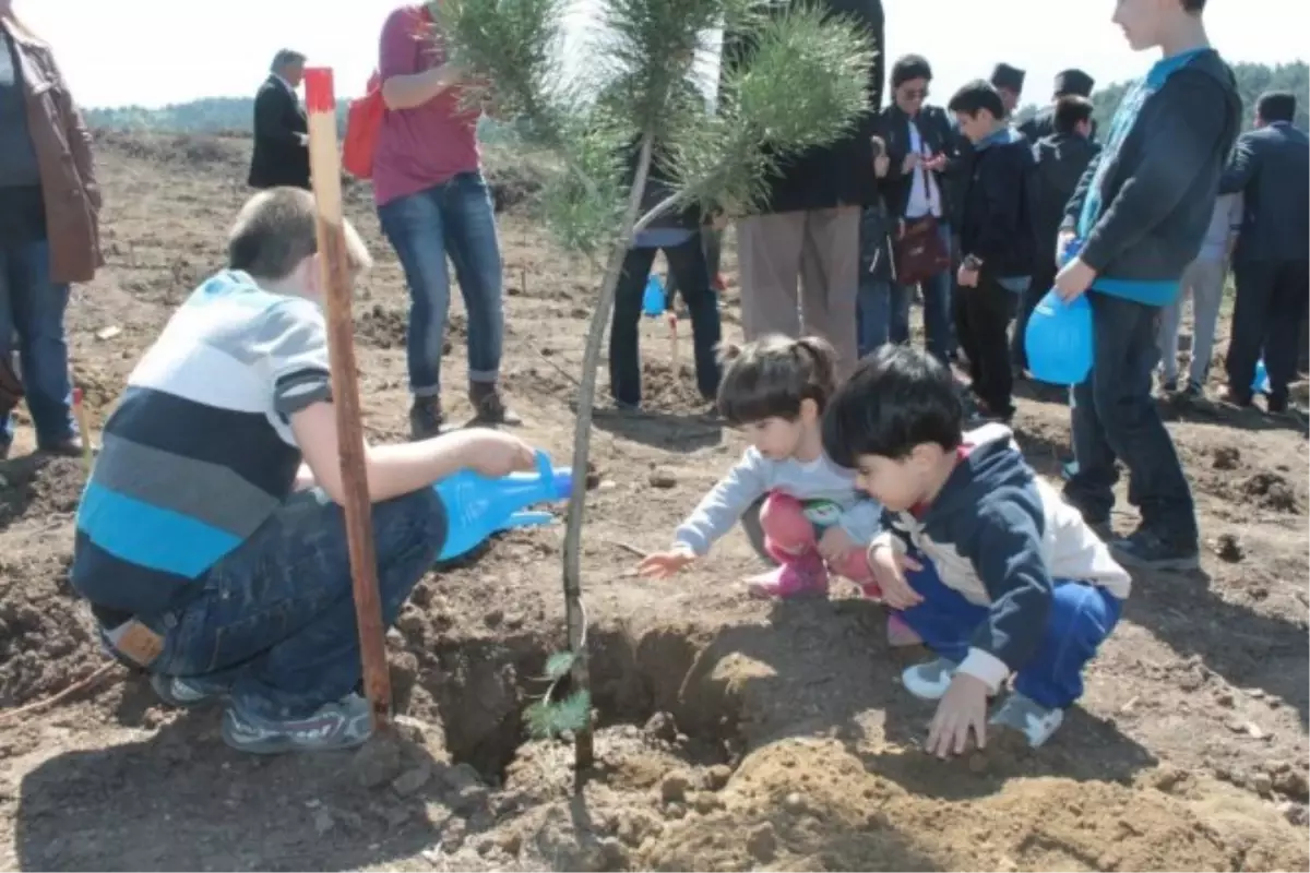 Başakşehirli Öğrenciler 3 Bin Fidan Dikti