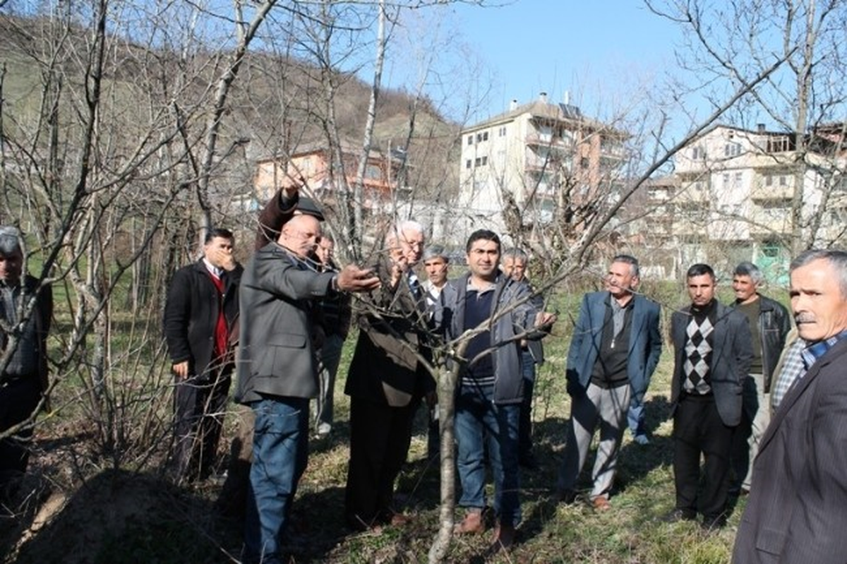 Budama ve Aşılama Eğitimleri Devam Etti