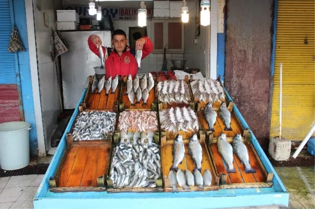 Hamsi Tezgahlardaki Yerini Çiftlik Alabalığına Bıraktı