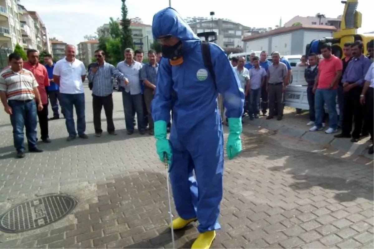 Haşere Mücadelesinde İzin Alma Zorunluluğu Getirildi