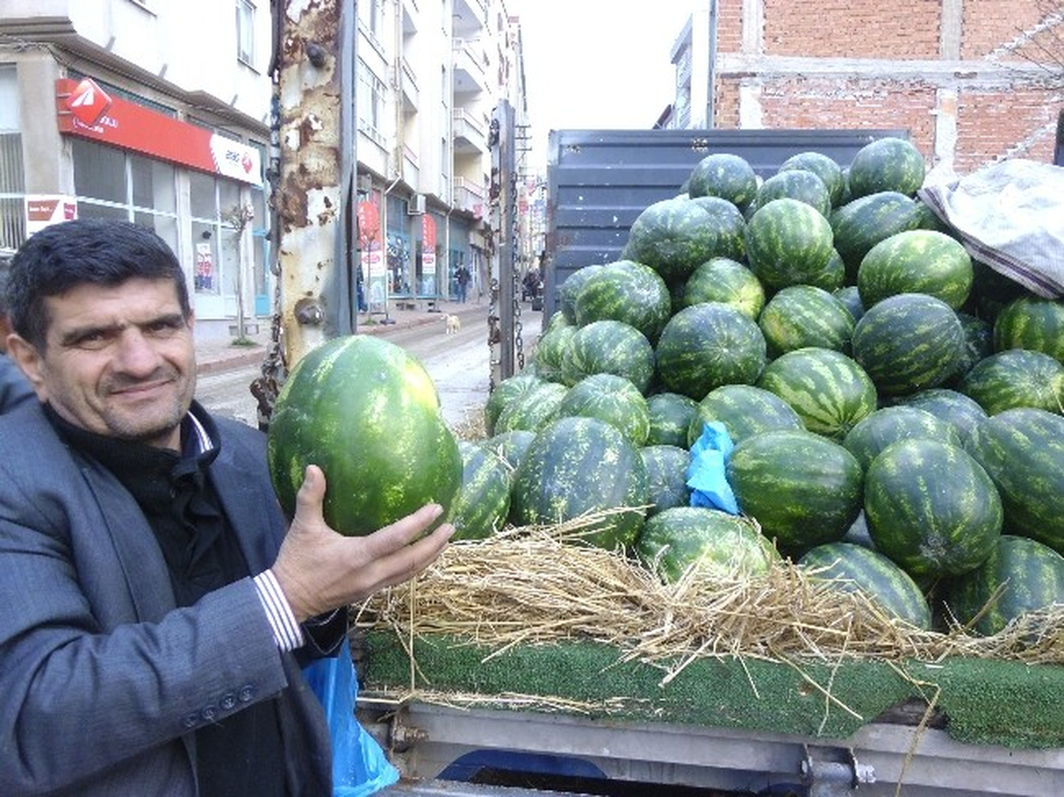 İran Karpuzu Tezgahlarda