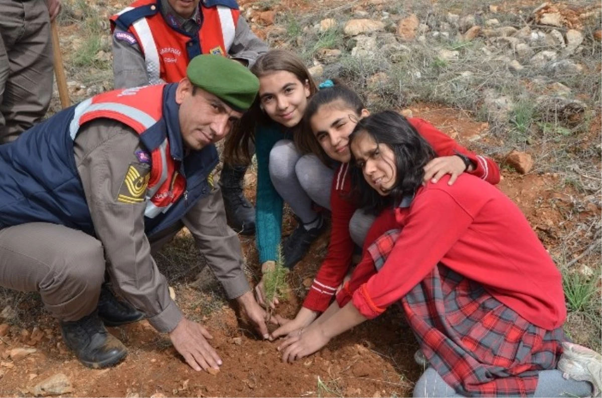 Jandarma, 175 Yıl Anısına 1750 Fidan Dikti