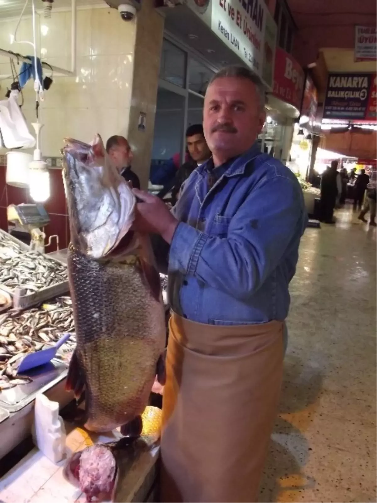 Mevsimin En Büyük Kurşun Balığı Yakalandı