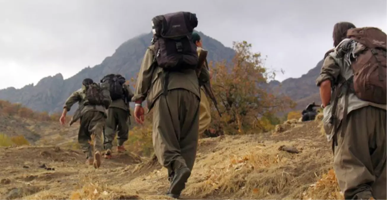 PKK\'lılar Kaçırdıkları İki Muhtarı Serbest Bıraktı