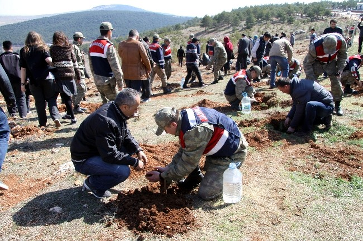 Batman\'da Jandarma 2 Bin Fidanı Toprakla Buluşturdu