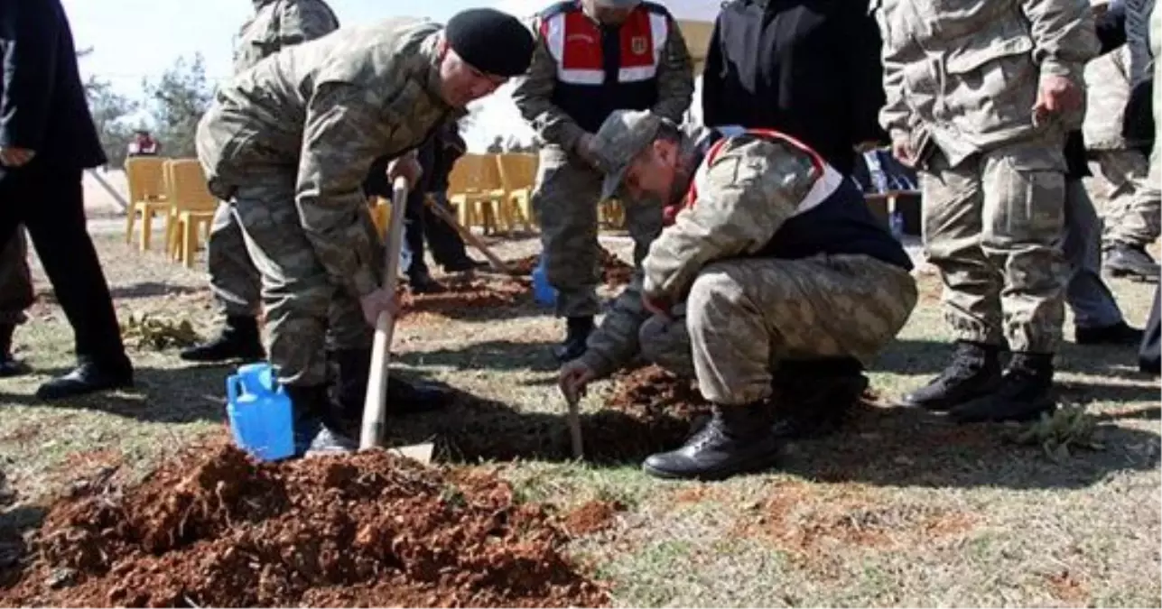 Beyşehir\'de Jandarmadan Şehitler Anısına Fidan Dikimi