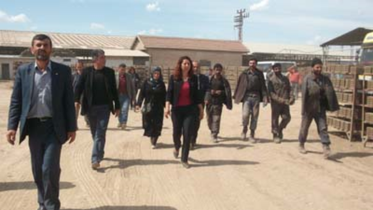 Sur Tuğla Fabrikalarında İşçileri Ziyaret