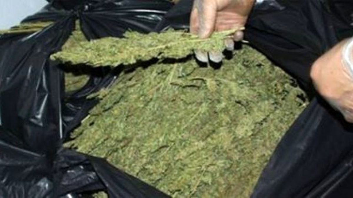 Nurdağı\'nda 34 Kilogram Esrar Ele Geçirildi