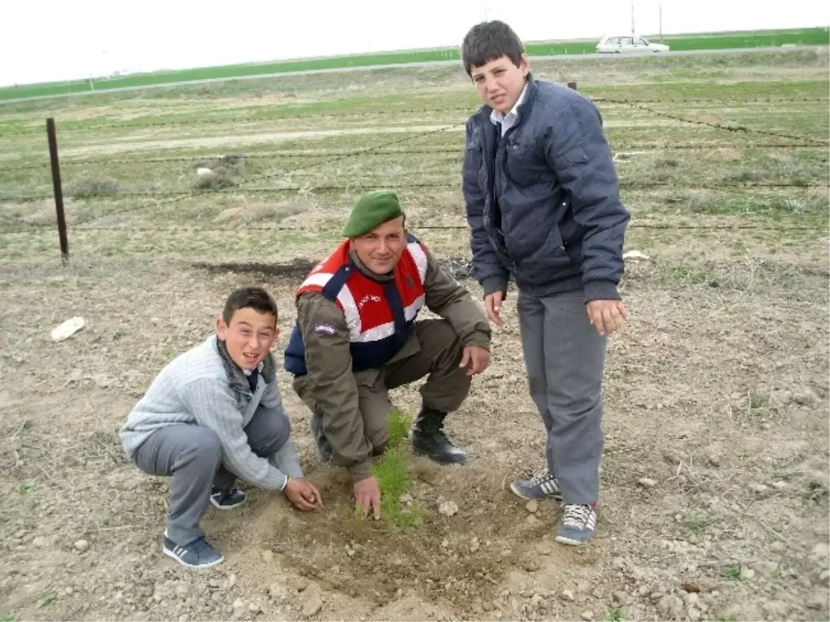 Tuzlukçu\'da Şehitler İçin Fidan