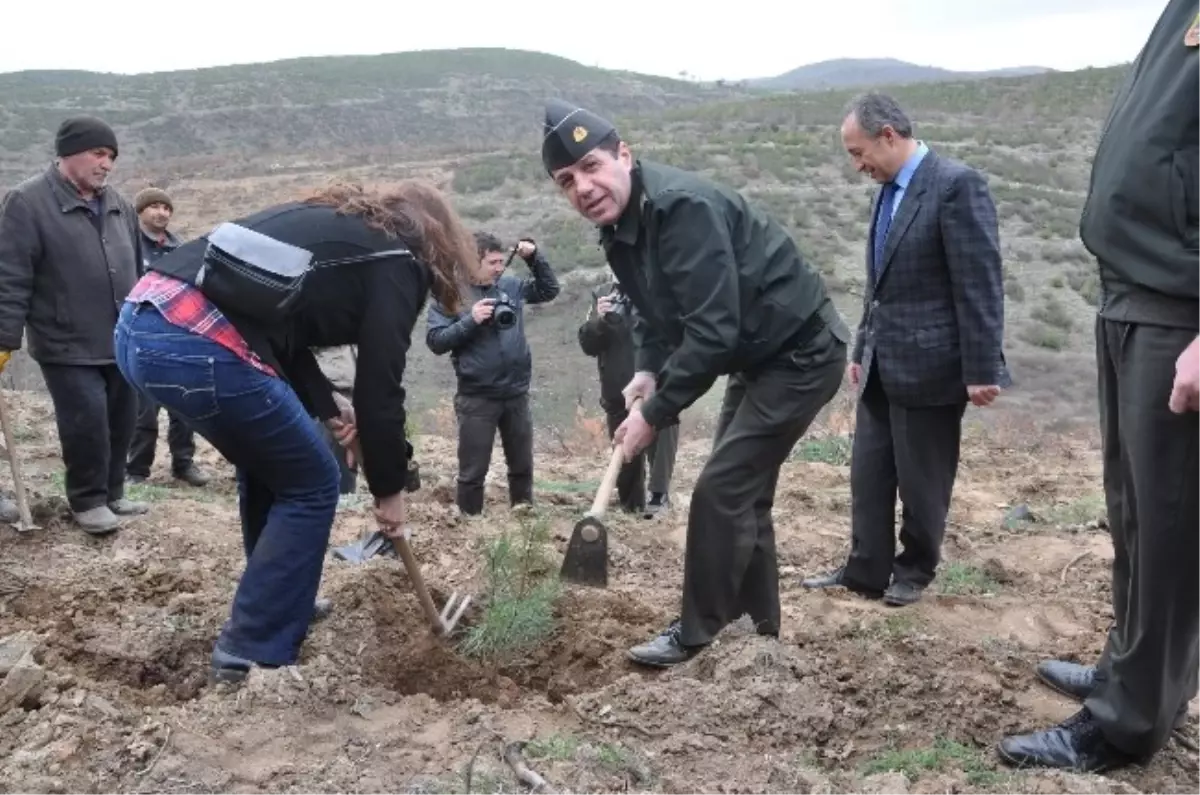 Uşak Jandarması Yanan Ormana 500 Fidan Dikti