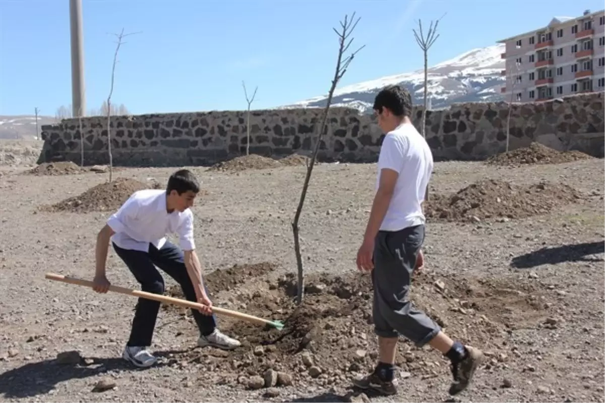 Erzurum\'da Okul Bahçeleri Ağaçlandırılıyor