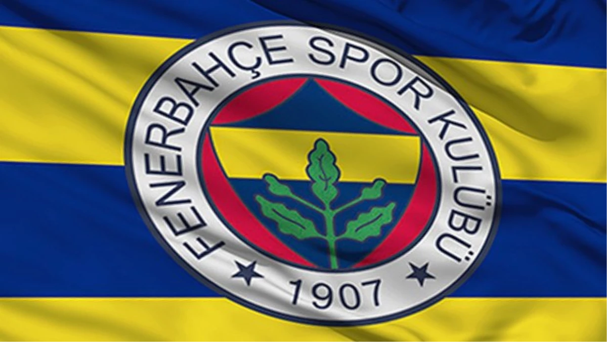 Fenerbahçe Grundig, Tarihindeki İlk Avrupa Kupasını Kaldırdı