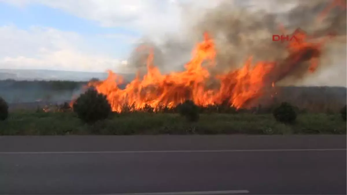 Sazlıkta Başlayan Yangın