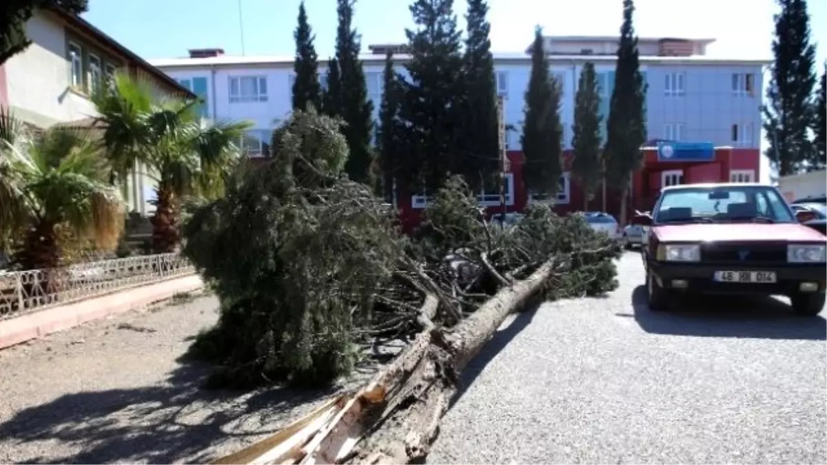 Kahramanmaraş\'ta Şiddetli Rüzgar Olumsuz Etkiledi