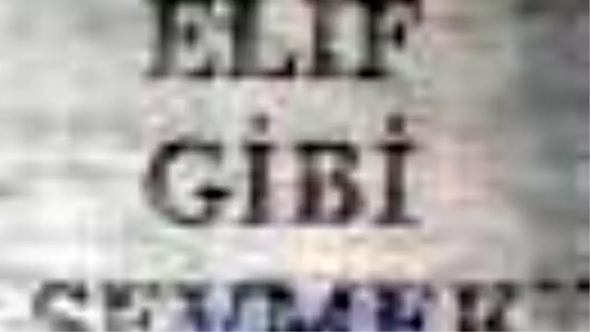 Elif Gibi Sevmek Kitabı