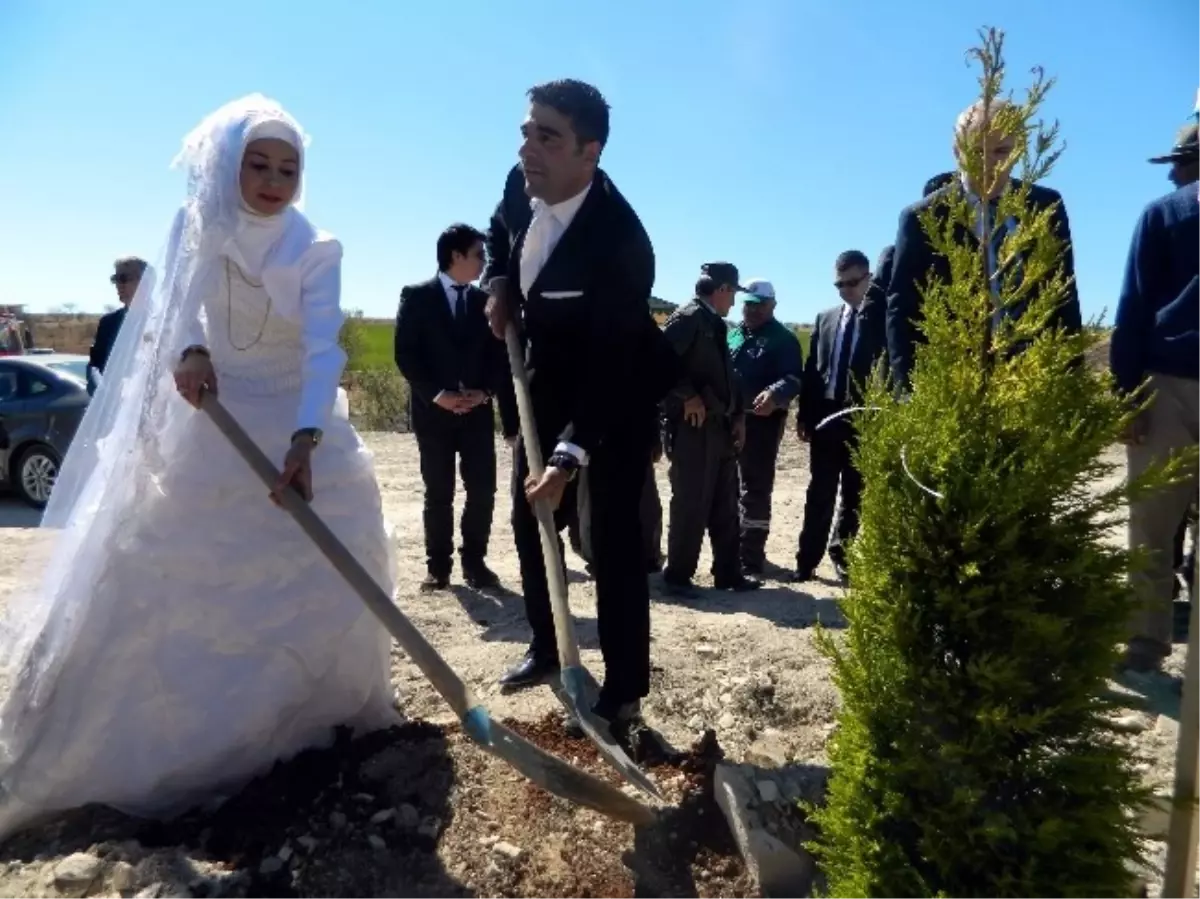 Gelinlik ve Damatlıkla Ağaç Diktiler