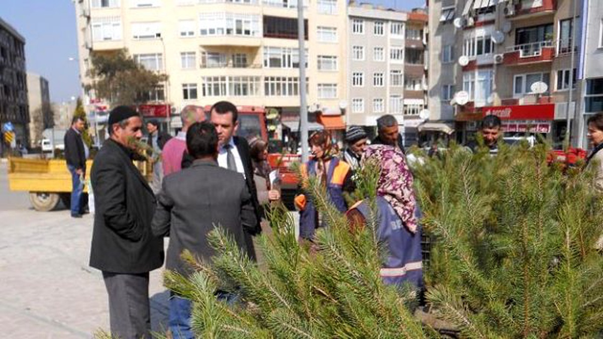 Kozluk\'ta Çiftçilere 12 Bin 500 Fıstık Fidanı Dağıtıldı
