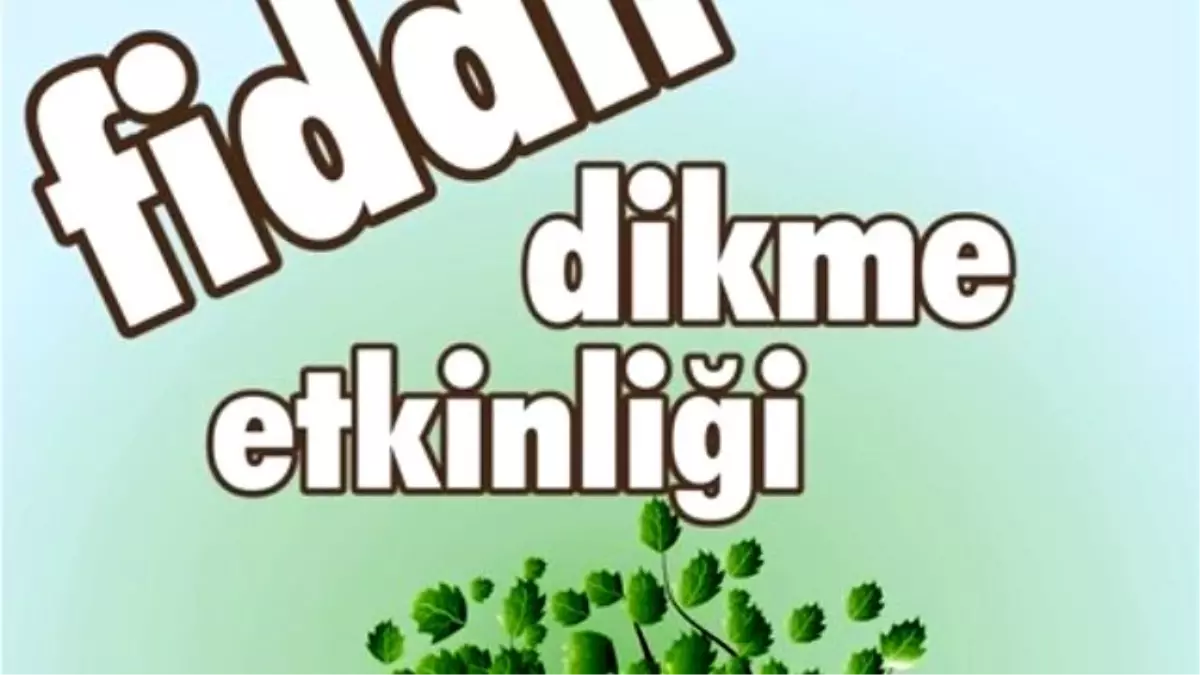 KLÜ Fidan Dikecek