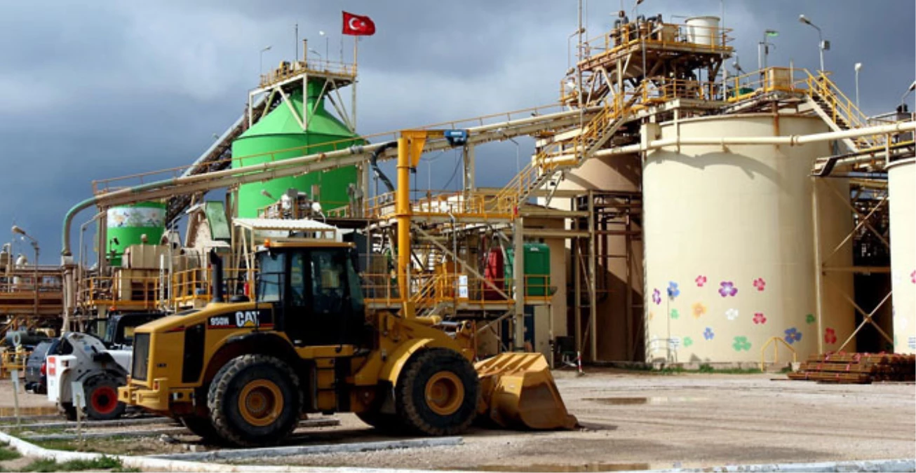 Koza Altın, İngiltere'ye Gidiyor