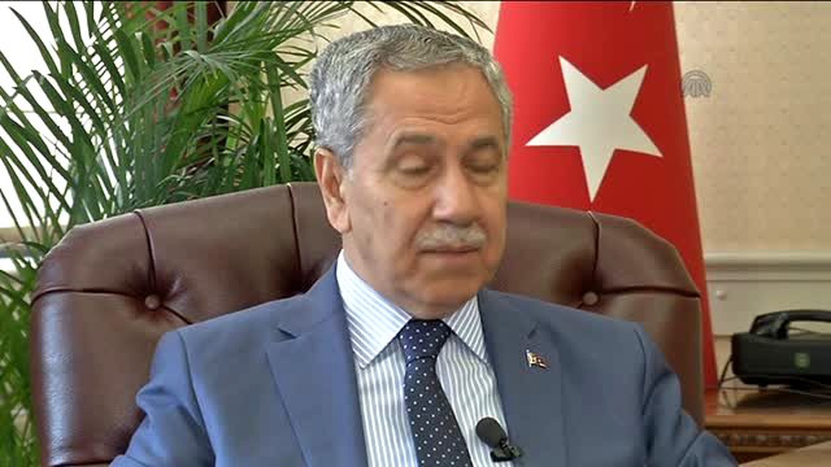 Başbakan Yardımcısı Arınç Açıklaması