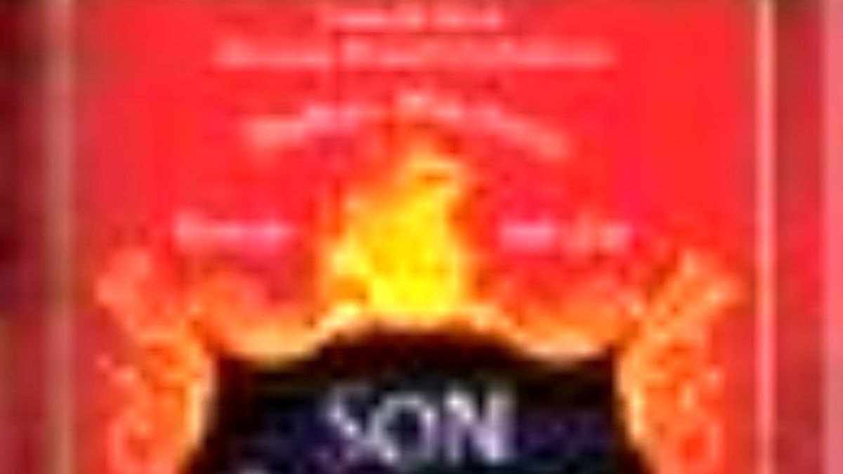 Son Korsan 2 - Kara Gemi Kitabı