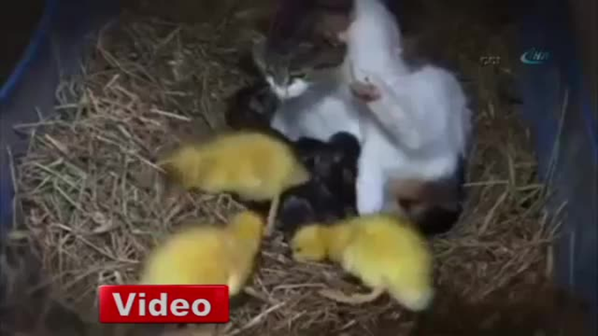 Annelik Duygusu Ayrım Yaptırmıyor