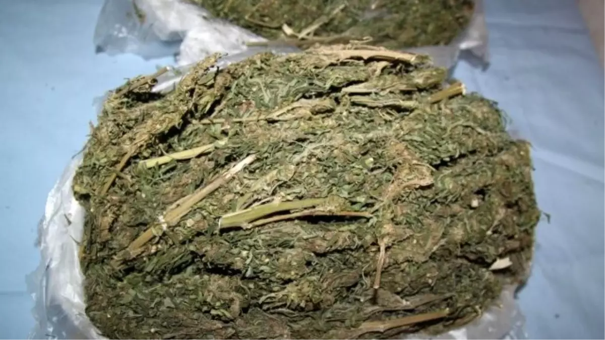 İzmir\'de Uyuşturucu Operasyonları