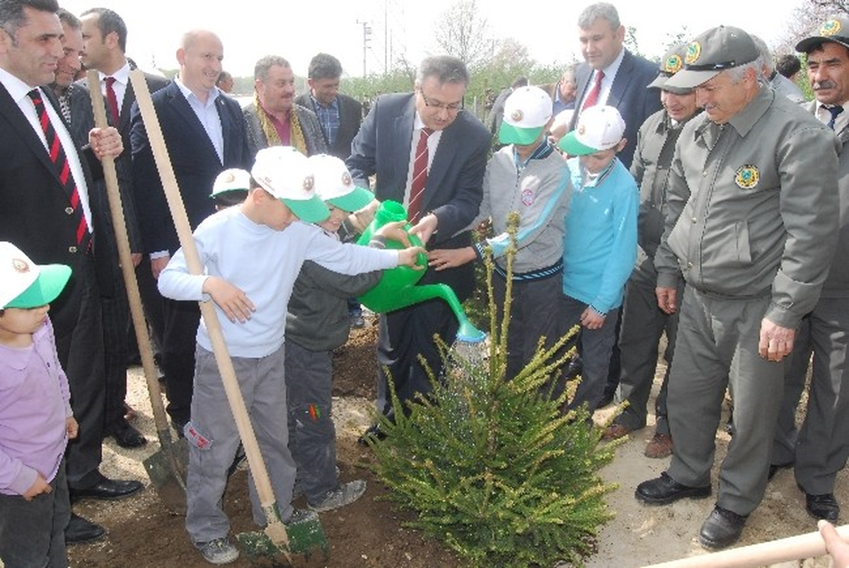 Düzce\'de 4 Bin Fidan Toprakla Buluştu