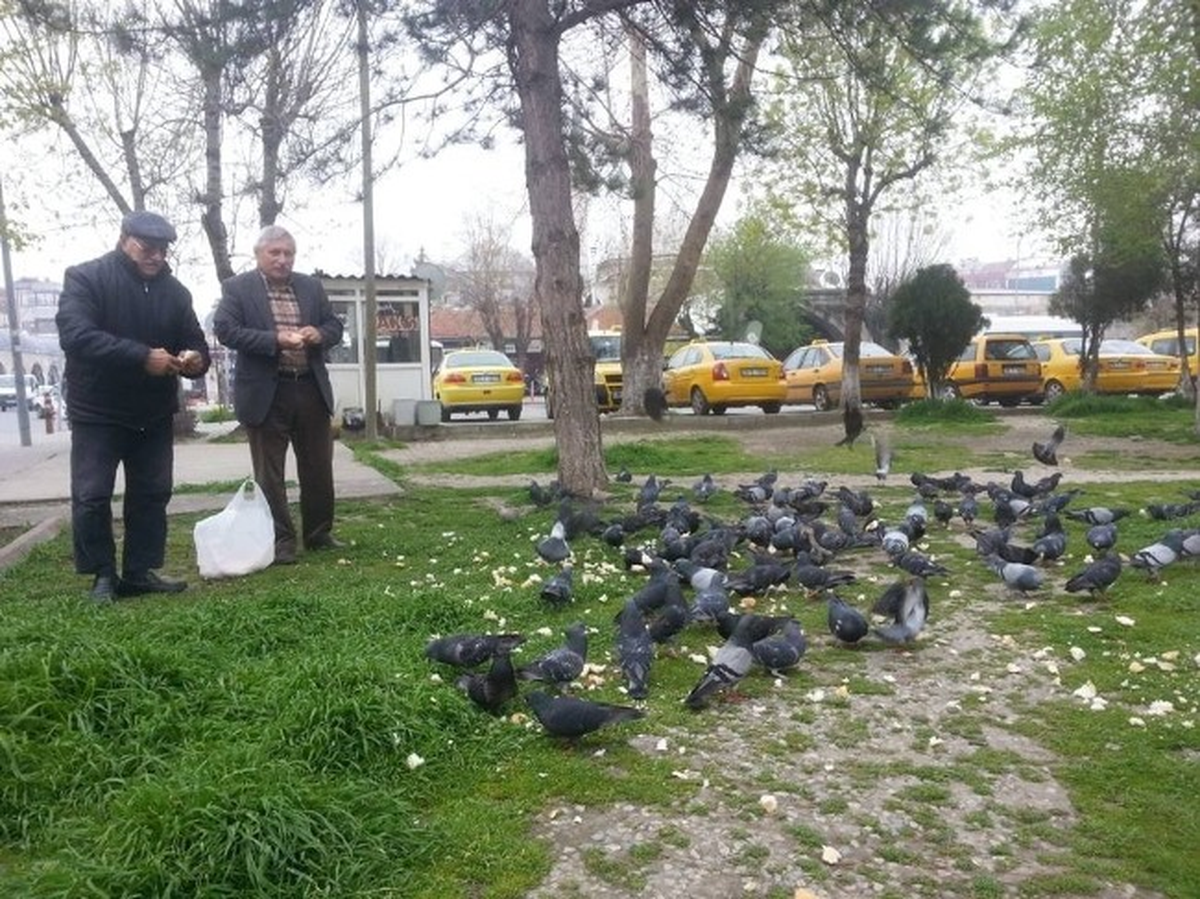 En Büyük Zevki Güvercin Beslemek