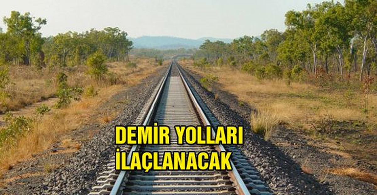 Hayvan Sahiplerinin Dikkatine