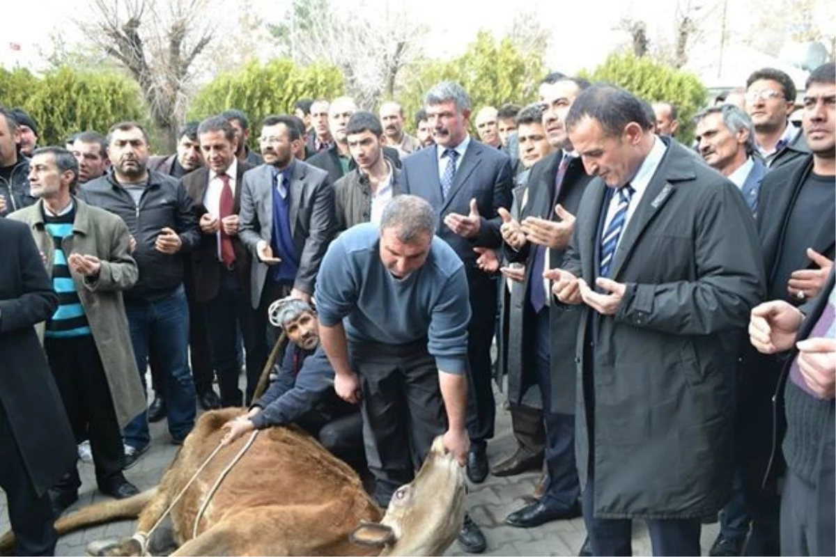 Kağızman Yerel Seçim Sonuçları