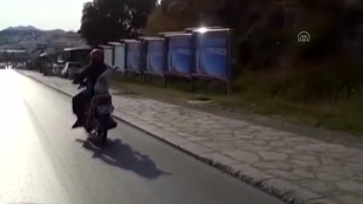 Köpeğin motosikletteki yolculuğu -