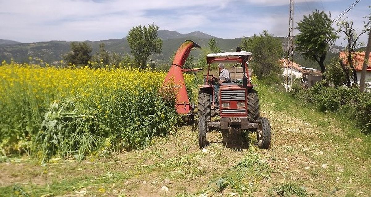 Milas\'ta Tarla Günü Düzenleniyor
