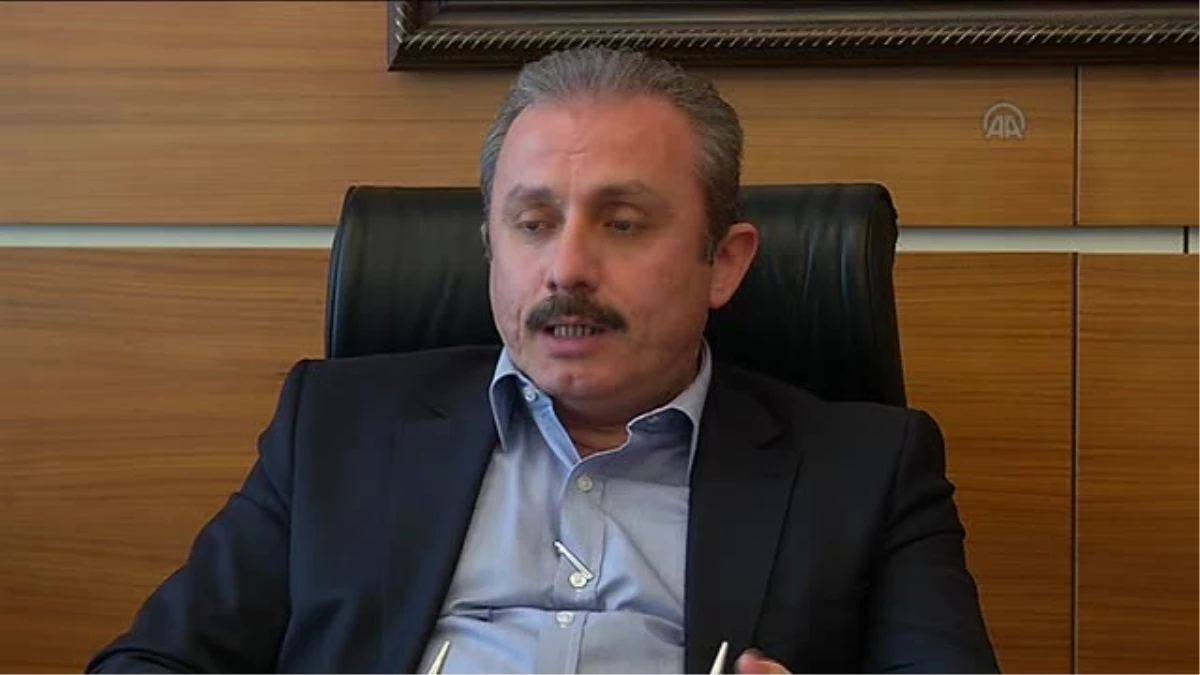 Mustafa Şentop: "İsteyen vatandaşımız oy sayım işlemini engellememek şartıyla izleyebiliyor" -