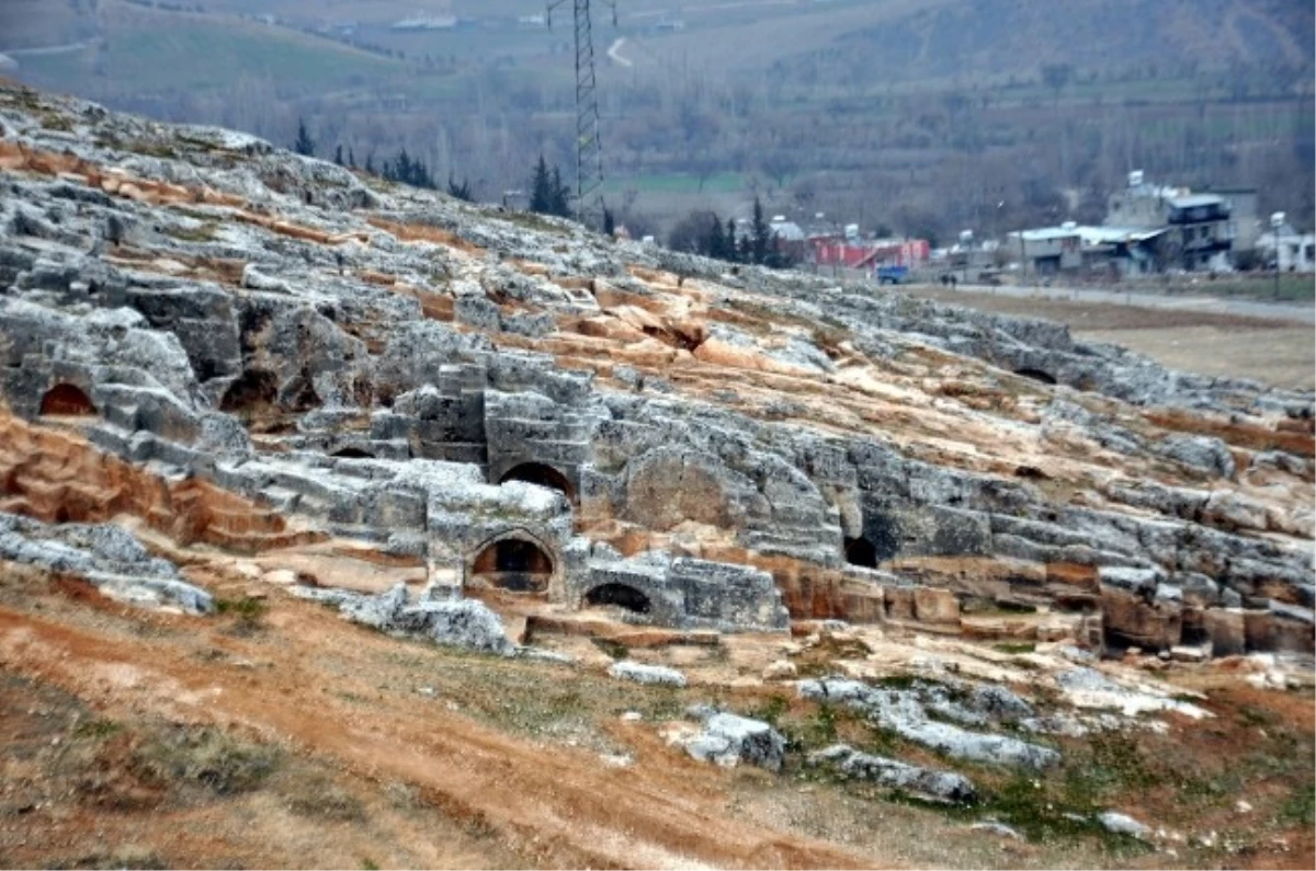 Perre Antik Kent, Bitki Yapısıyla da Araştırıldı