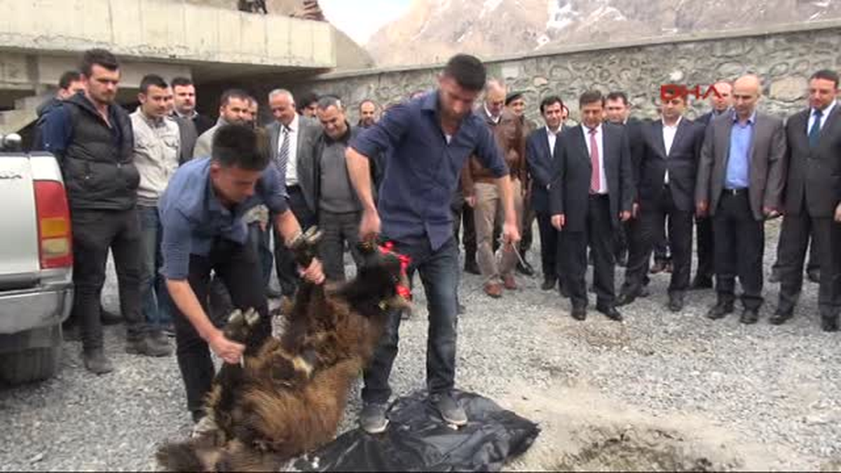 Hakkari\'de Polis Yoksul Aileler İçin Kurban Kesti