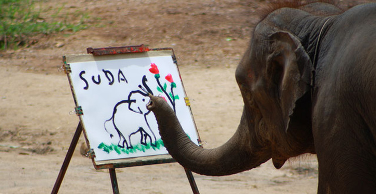 Ressam Fil Suda Yeteneğiyle Şaşırttı