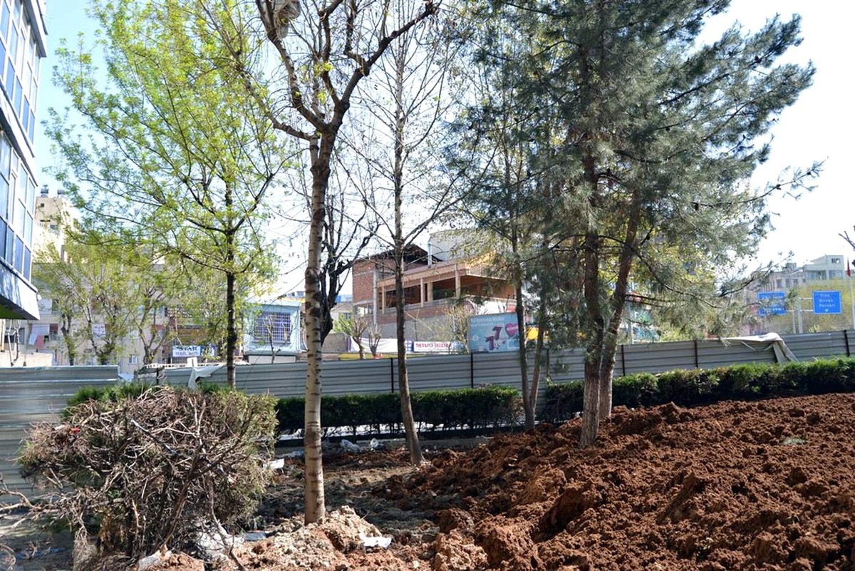 Sökülen Ağaçlarla İlgili Açıklama Yapıldı